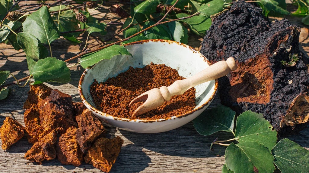 Chaga Extract