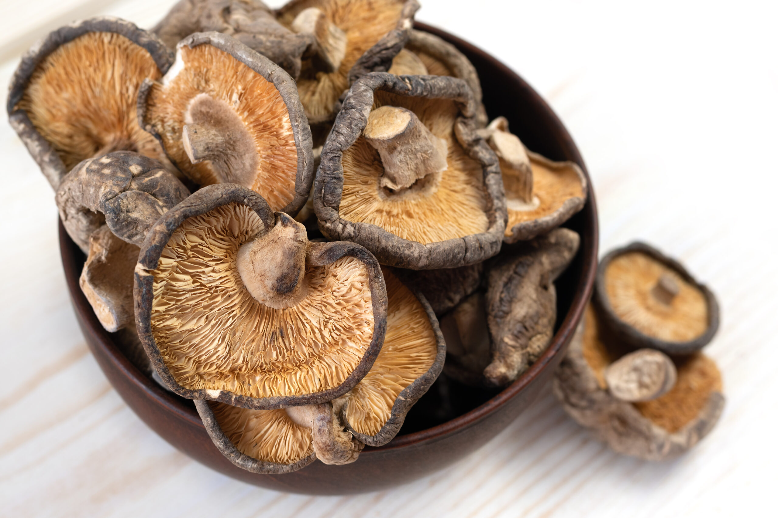Shiitake Extract